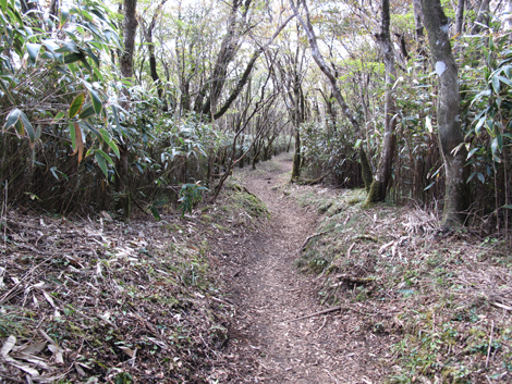 20181025hike (120)